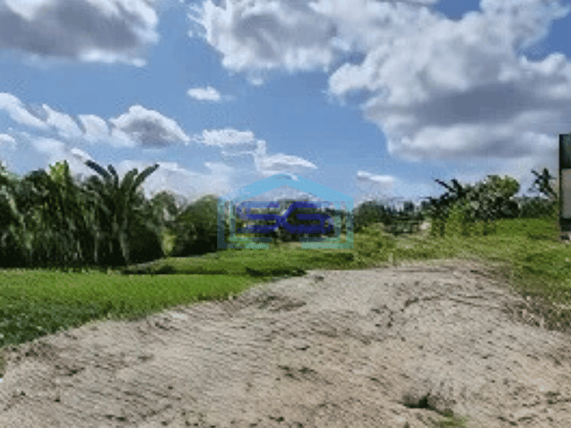 Dijual Tanah di Canggu Badung Bali