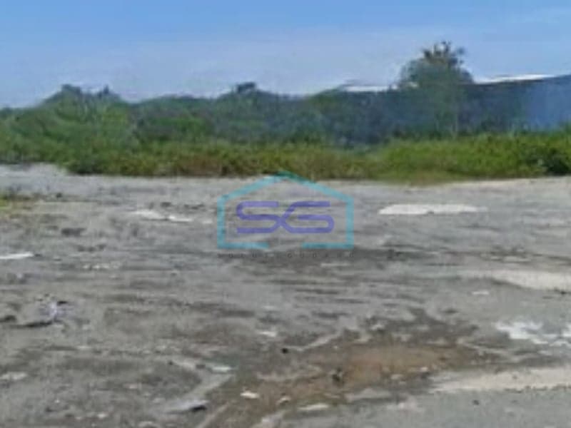 Disewakan Tanah Luas 6500 m² Lokasi di Kendal Jawa Tengah
