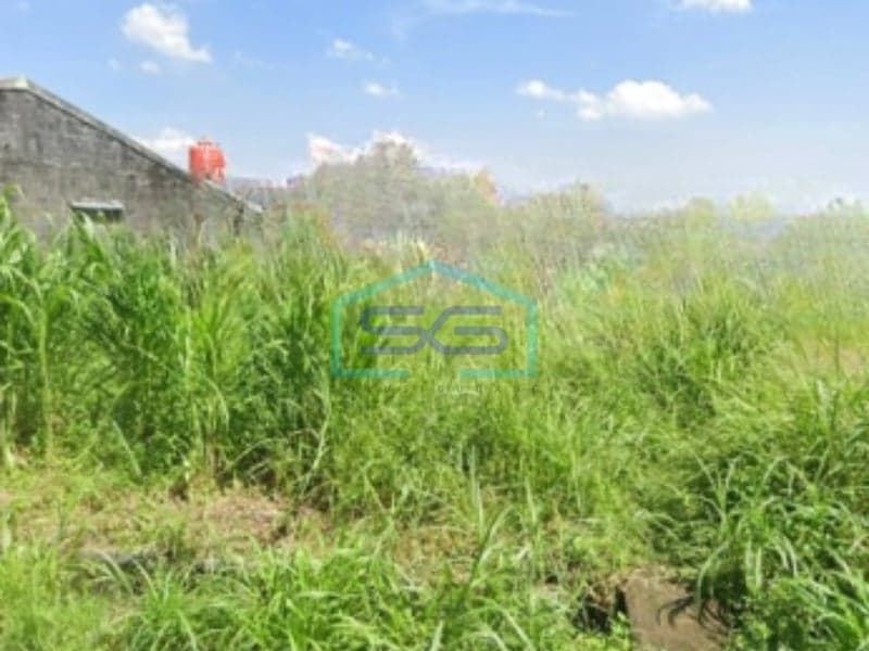 Dijual Tanah Luas 2447 m² Lokasi Bebas Banjir di Sleman Yogyakarta