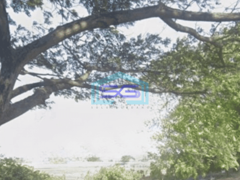 Dijual Tanah Luas 12000 m² di Jalan Raya Babakan Tangerang