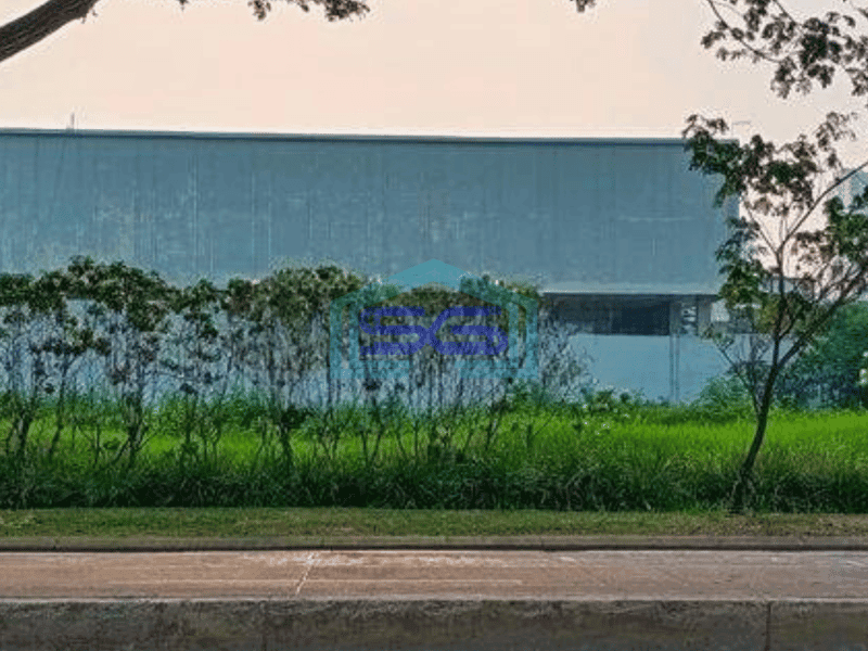 Disewa Kavling Area Jalur Alam Sutera  Tangerang Tanah Bagus Lokasi Strategis Jalan Lebar Harga Murah Dan Terjangkau