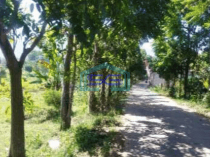 Dijual Tanah Kawasan Cileunyi Bandung Luas 2045m²
