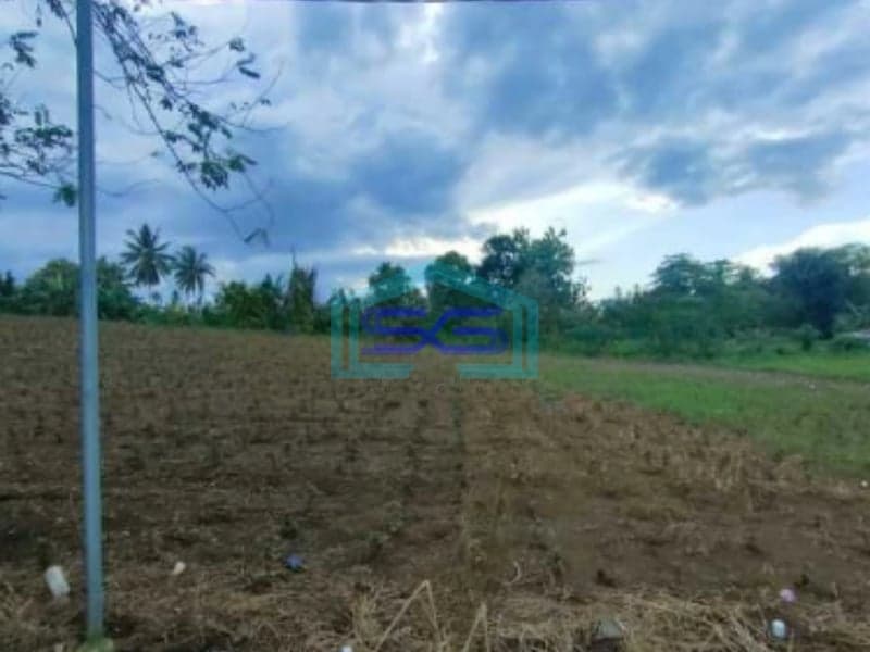 DIjual Tanah Di Malalayang Dekat Ring Road 3 Manado Luas Tanah (PxL)  20000 m²