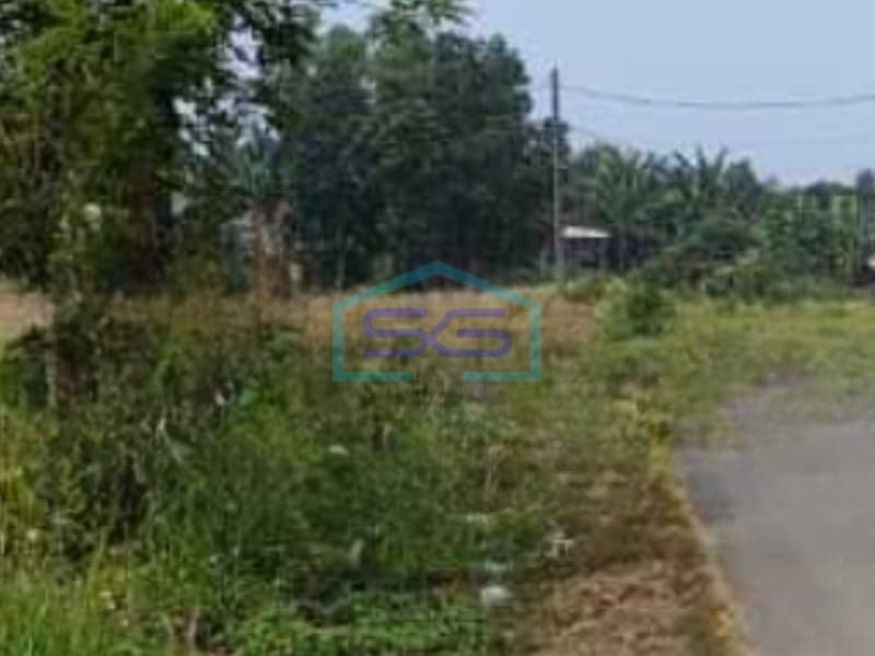 Dijual Tanah Luas 50000 m² Lokasi di Lebak Banten