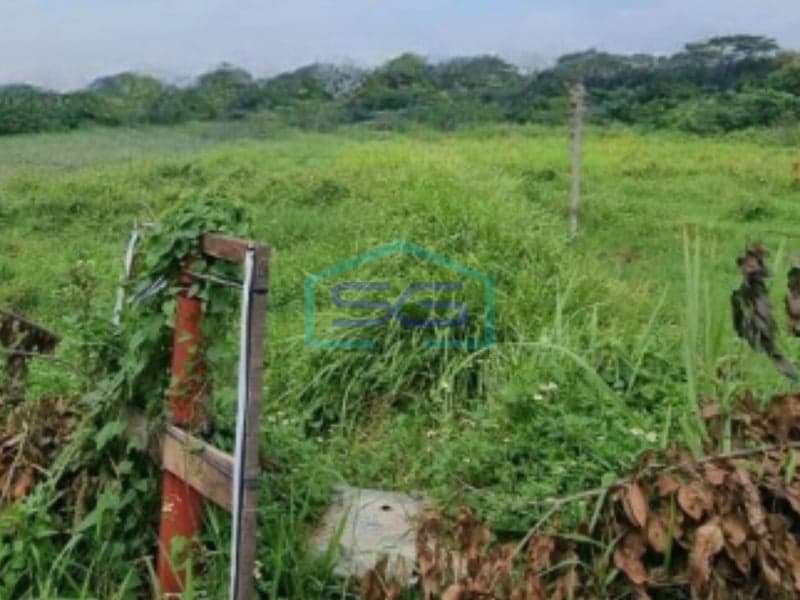 Flood-Free Land for Sale in Cikande Industrial Area, Serang, Banten