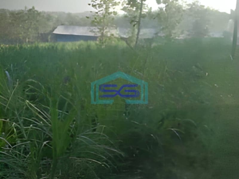 Dijual Lahan Zona Kuning Luas Tanah 40000m2 Lokasi Sukodono Sragen Jawa Tengah