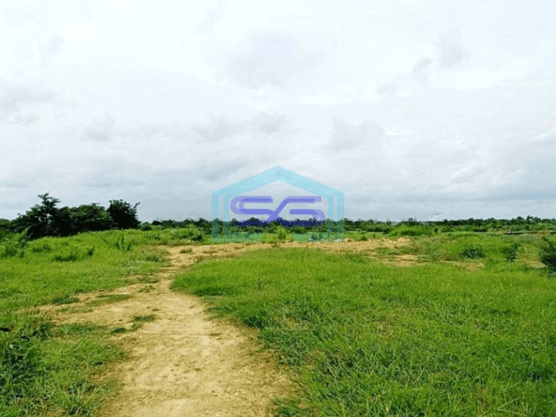 Dijual Tanah Murah Raya Benjeng Gresik Cocok Untuk Pabrik Gudang LT 10000m2