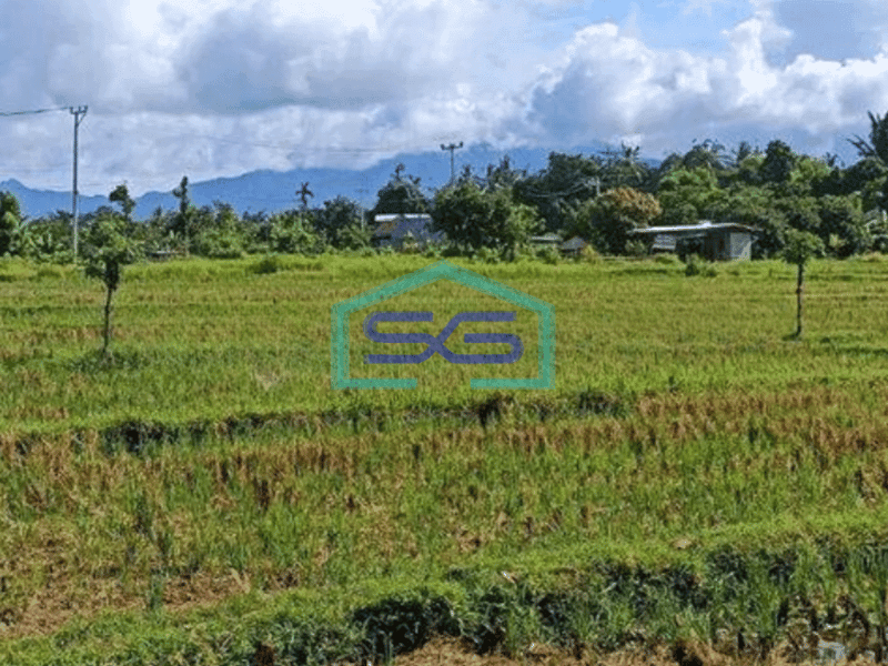 Dijual Tanah A Yani Raya Mataram Sikur Narmada Lombok Barat Ntb