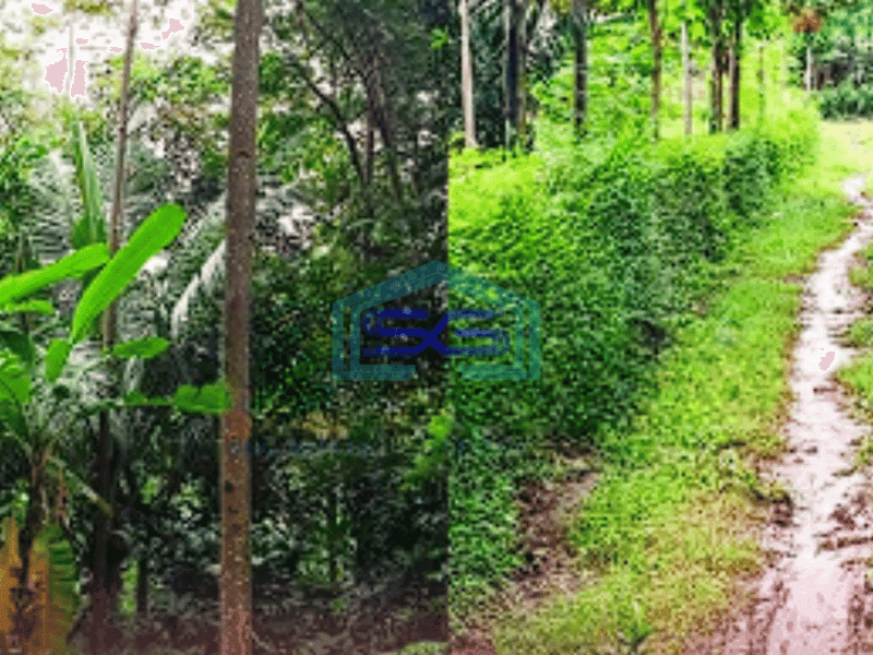 Dijual Tanah di Jombang Jawa Timur Luas 10130m2
