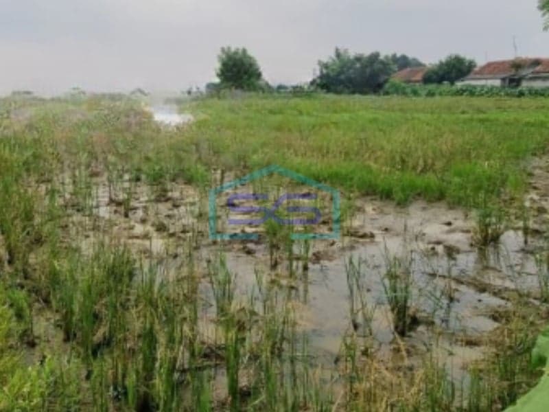 For Sale: Spacious Land 150,000 m² Flood-Free in Cikande Serang Banten