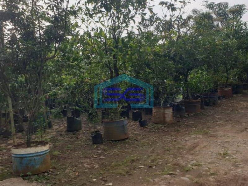 Dijual Tanah Luas 2 Ha Surat SHM di Curug Gunung Sindur Bogor Lokasi Strategis Dipinggir Jalan
