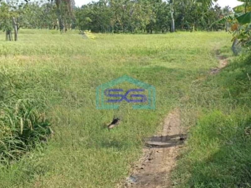 Dijual Tanah Murah Luas 32000 m² Lokasi Karawang Jawa Barat