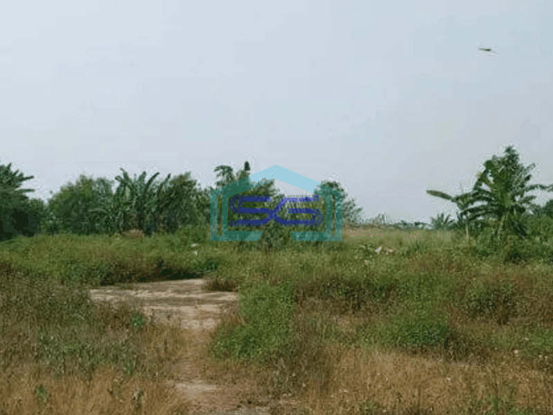 Dijual Cepat!! Tanah Legok Tangerang Lt 8 Hektar
