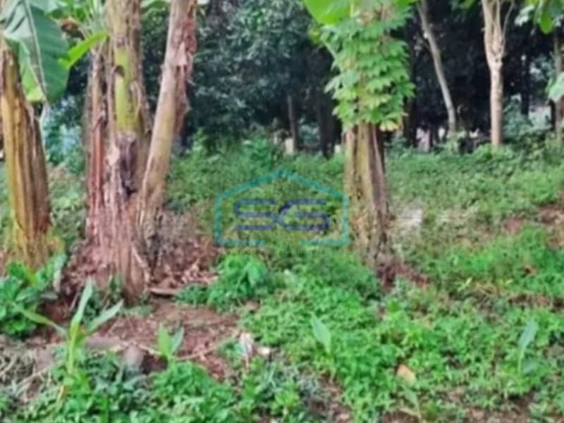Land for Sale in Semarang, Central Java, 2466 m²