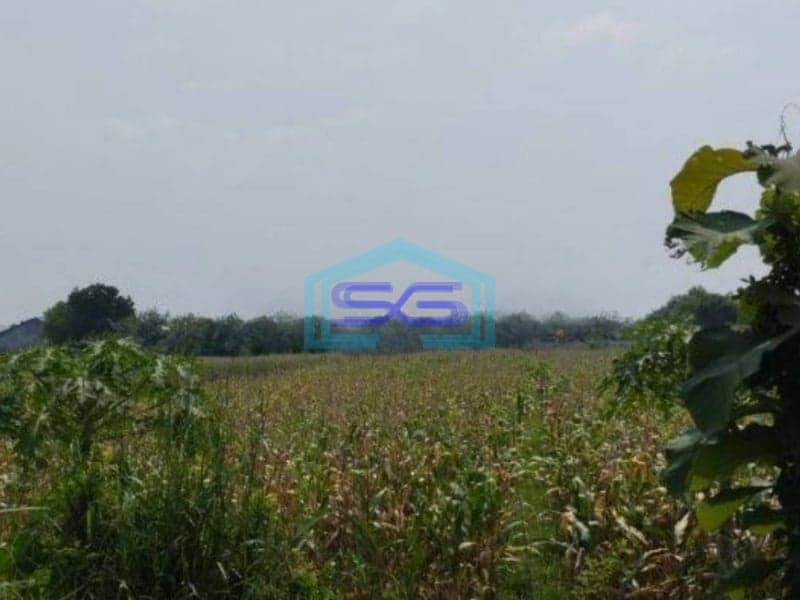 Dijual Cepat Tanah Zona Industri Lokasi Ceper Klaten Luas 4,5 Ha