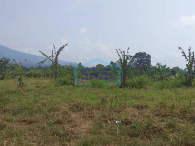 Dijual Tanah di Jalan Raya Cigombong Bogor Luas Tanah 45000m2