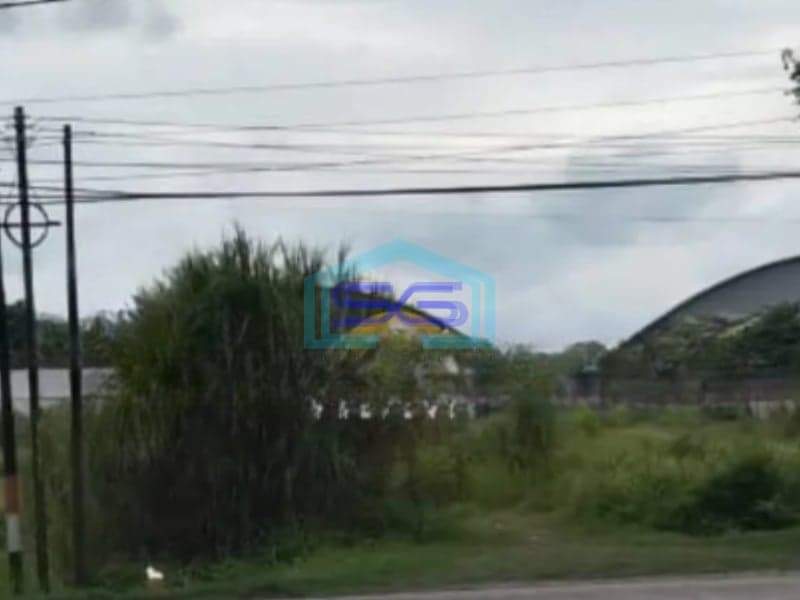 Disewakan Tanah Padas di Karang Awen Demak Jawa Tengah Luas Tanah 9000m2