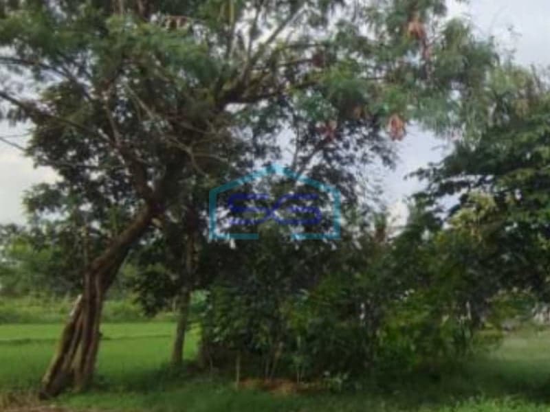 Dijual Tanah Luas 2750 m²  Lokasi di Sleman Yogyakarta