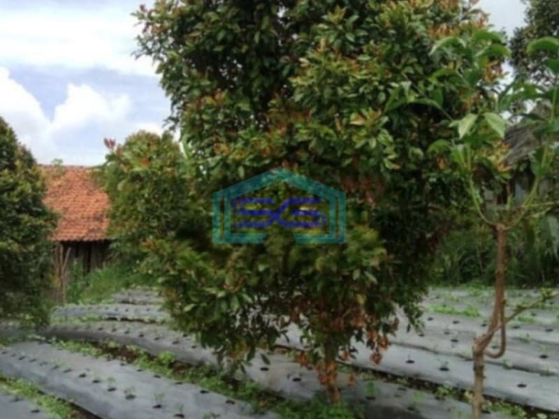 Dijual Tanah di Cisarua Bandung Barat Luas Tanah 4500m2