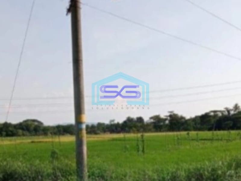 Dijual Tanah Luas 60000 m² Lokasi Klaten Jawa Tengah