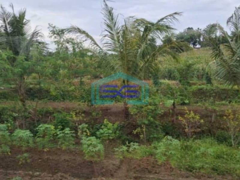 Dijual Tanah Strategis Cocok Untuk Usaha Pasteur Bandung Luas Tanah 3680m2