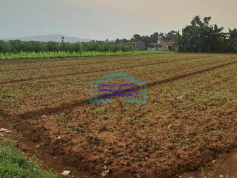 Dijual Tanah Di Bojong Kopasus Kemang Bogor Luas 4500m2
