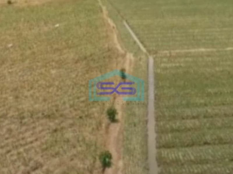 Dijual Tanah Zona Merah Industri Lokasi Grobogan Jawa tengah Luas 100 Ha
