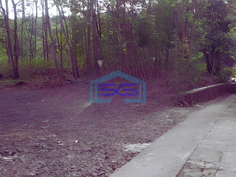 Dijual Tanah di Kel Wijimulyo Kab Kulonprogo Yogyakarta Luas Tanah 1580m2