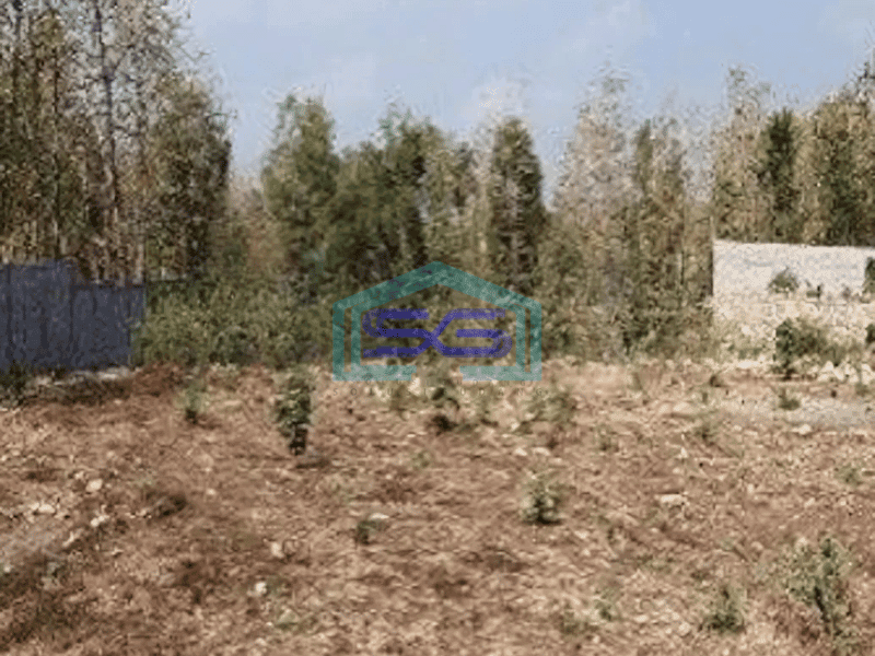 Dijual Tanah Luas 9076 m² di Sentolo Kulon Progo Yogyakarta