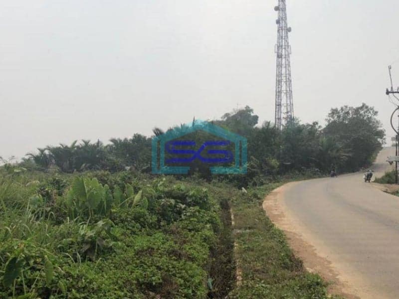 Dijual Tanah di Parung Panjang Bogor LT 9476m2