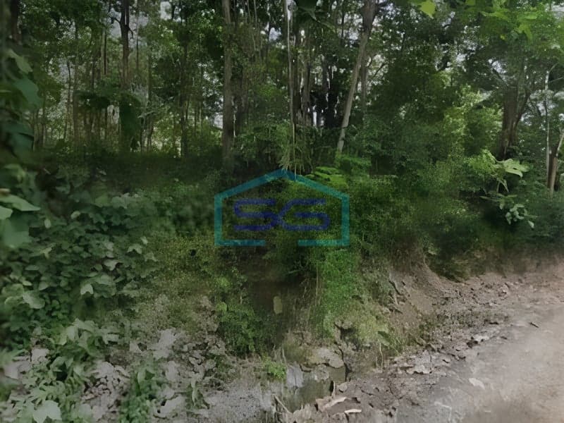 Land for Sale in Wangon Banyumas Central Java Land Area 400000 m²