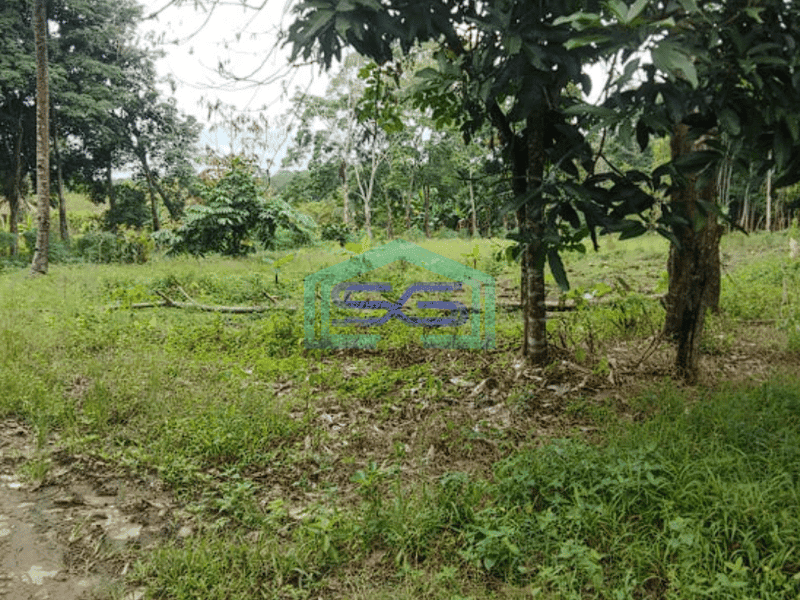 Dijual Tanah Jalan Padat Karya, Bukit Baru Palembang Luas 11382m2
