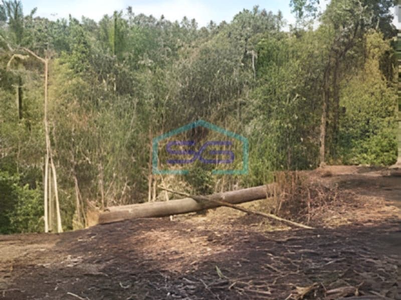 Cheap Land for Sale in Penebel Tabanan Bali Strategic Good Location 3000sqm