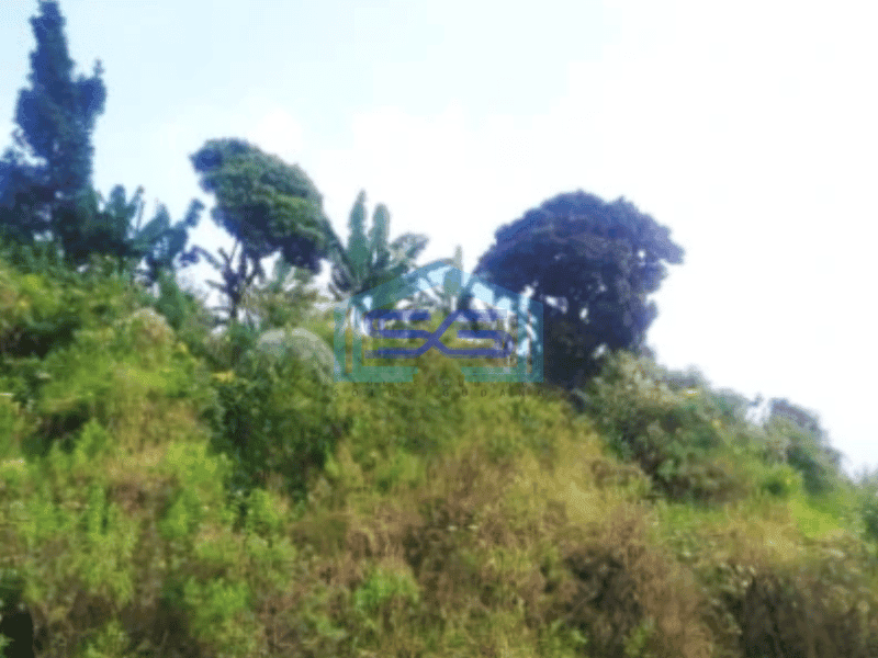 Dijual Tanah Kawasan Dago Bandung Luas 40000m²