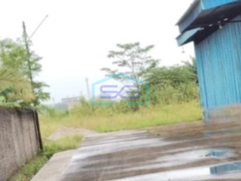Disewakan Gudang Bagus Siap Huni di Ciruas Serang Banten