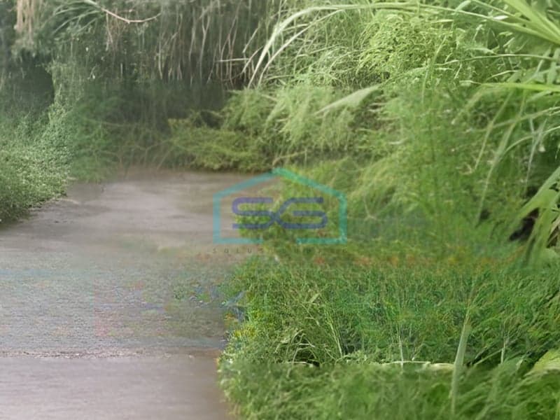 Land for Sale in Singaraja Gesing Buleleng Bali Land Area 12800sqm