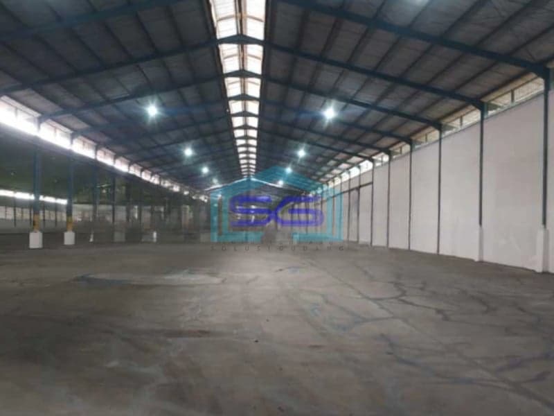 Disewakan Cepat Gudang Lokasi Rangkasbitung Lebak Banten Luas Tanah  5000 m²