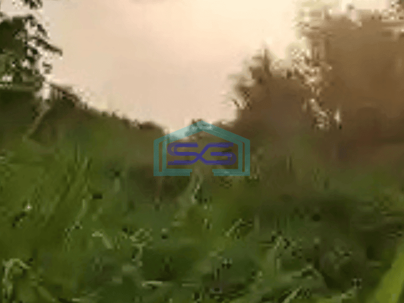 Dijual Tanah Lokasi Dekat Jalan Utama Di Gunung Sindur Bogor LT 1 Ha