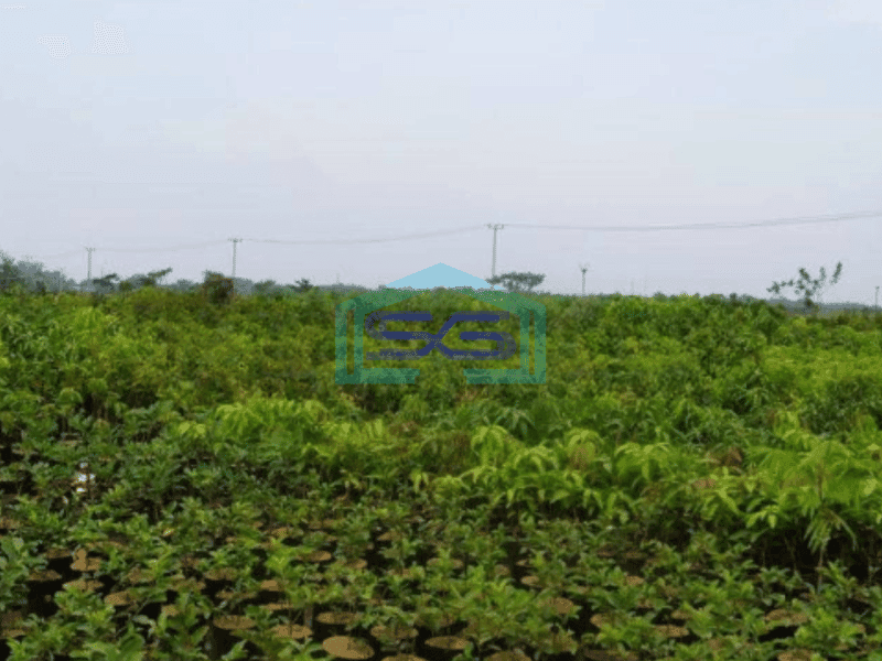 Dijual Tanah Luas Tanah 6000 m² di Karawang Timur