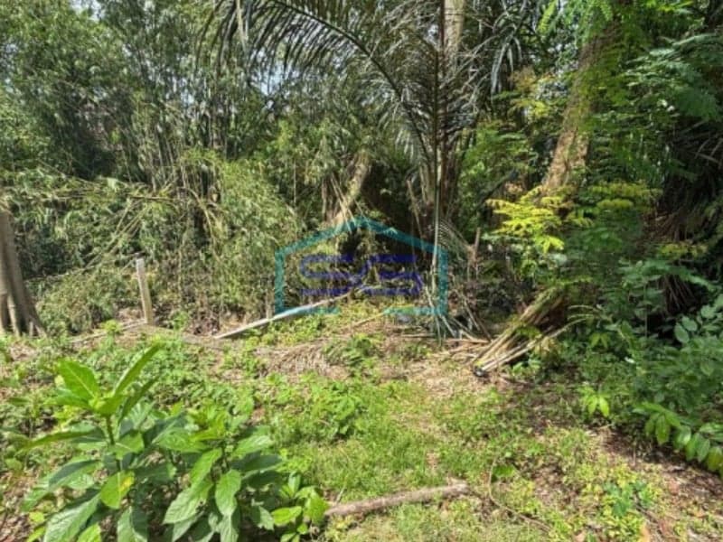Disewakan Tanah View Cantik di Canggu Badung Bali Siap Bangun Luas Tanah 1900m2