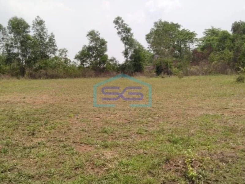 Dijual Tanah Kavling di Munjul Cileles Tigaraksa Tangerang Dengan Luas 4.000 m2