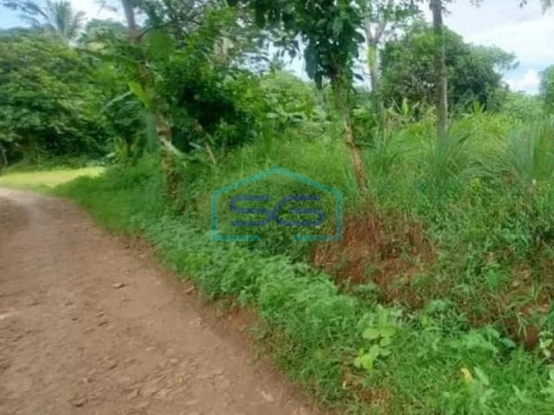 Dijual Tanah Darat Lokasi Tenjo, Bogor Jawa Barat Luas Tanah 2235 m²