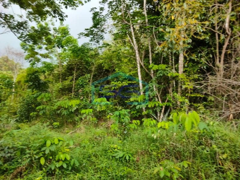 Dijual Investasi Strategis! Lahan Tanah Banyuasin, Sumatera Selatan Luas Tanah 1 Hektar