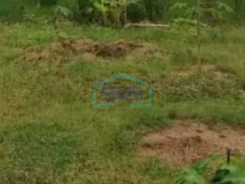 Dijual Tanah Luas 10000 m2 Sertifkat SHM di Purwodadi Jawa Tengah