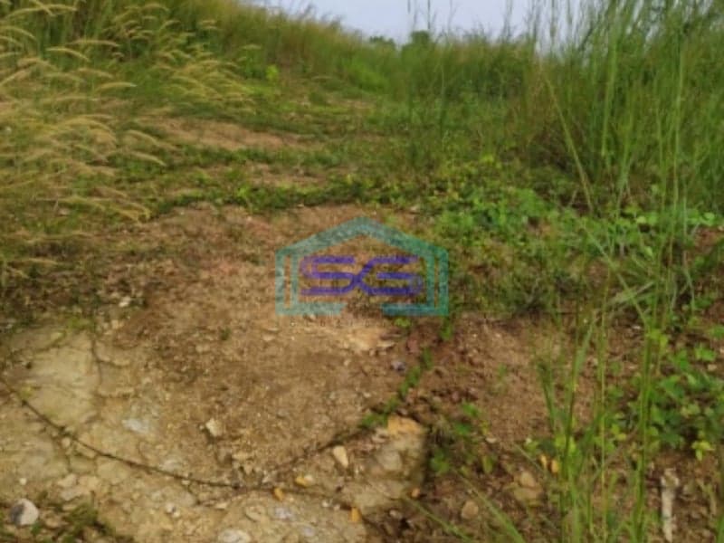 Dijual Tanah Kavling Luas 5891m2 di Jonggol Bogor Jawa Barat