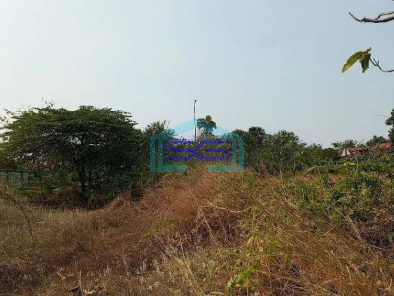 Dijual Cepat Tanah Nol Jalan Raya Driyorejo Gresik Cocok Gudang Dan Industri LT 8900m2