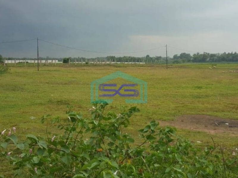 Dijual Tanah Luas 9 Hektar di Jawilan Pasir Limus Serang Lokasi Di Pinggir Jalan Raya