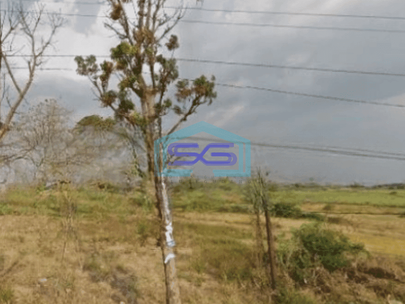 Dijual Tanah Luas 8800 Lokasi Jetis Mojokerto Jawa Timur