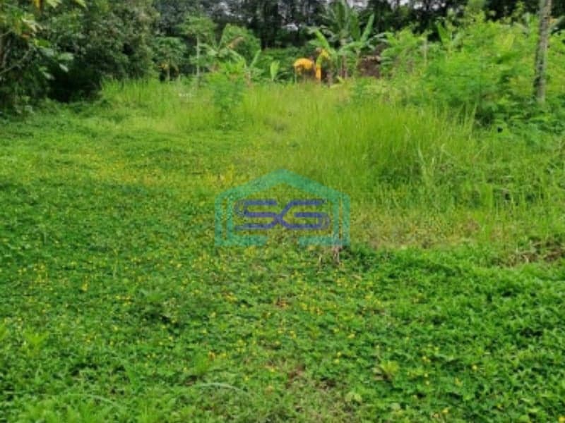 Dijual Tanah Di Ciseeng Bogor Luas Tanah 10000m2  Cocok Untuk Investasi