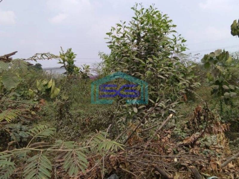 Dijual Tanah di Serang Balaraja Tangerang Dipinggir Jalan Raya LT 12000m2